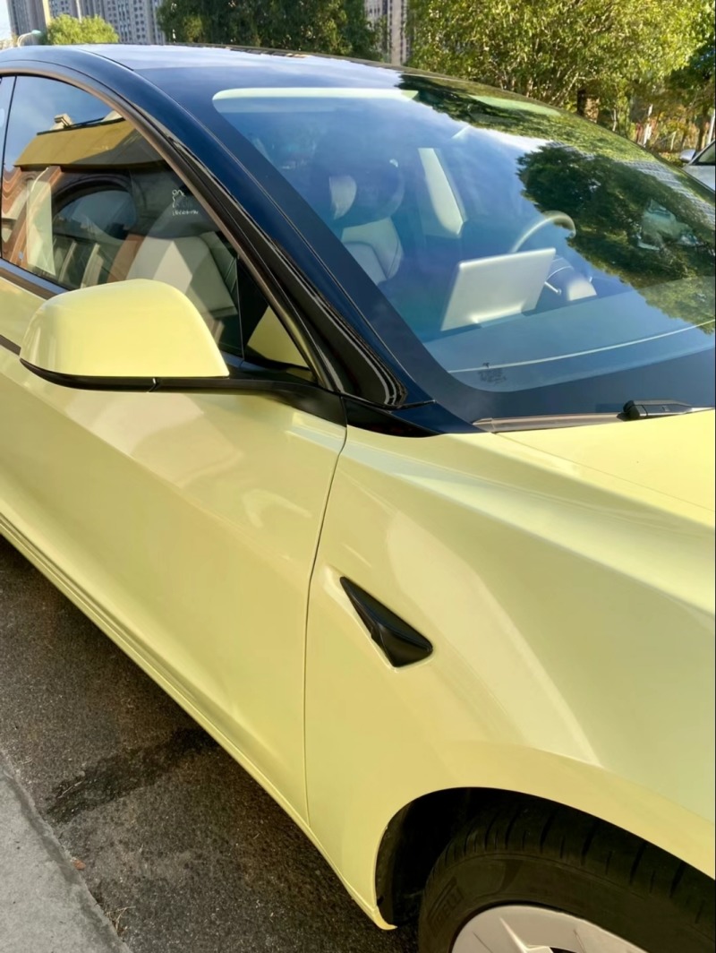 model s改色香奈儿黄!颜色小众