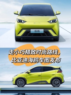 走小巧精致时尚路线，比亚迪海鸥车图发布