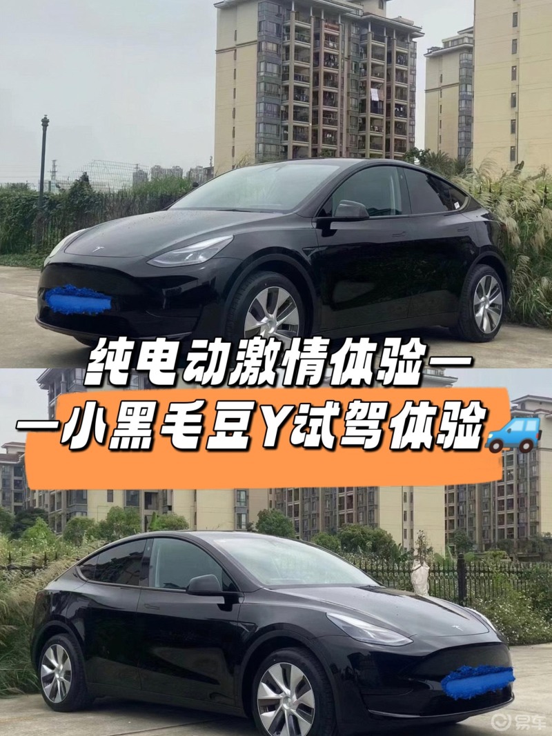 纯电动激情体验——小黑毛豆y试驾体验🚙 Model Y社区 易车社区