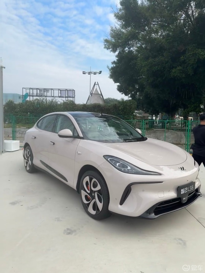 在粉色和黑色之间我选择了茶色