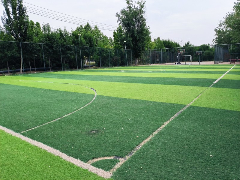 自驾逸动打卡小型的足球场_逸动社区_易车社区