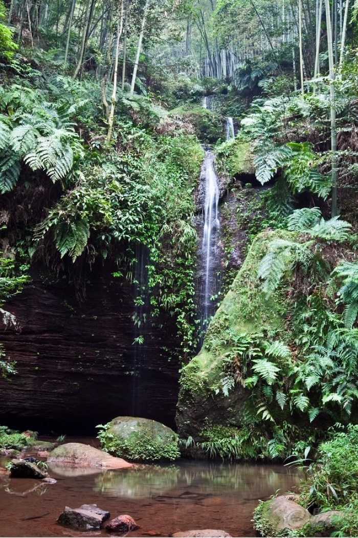 畅游在蜀南竹海之二——墨溪