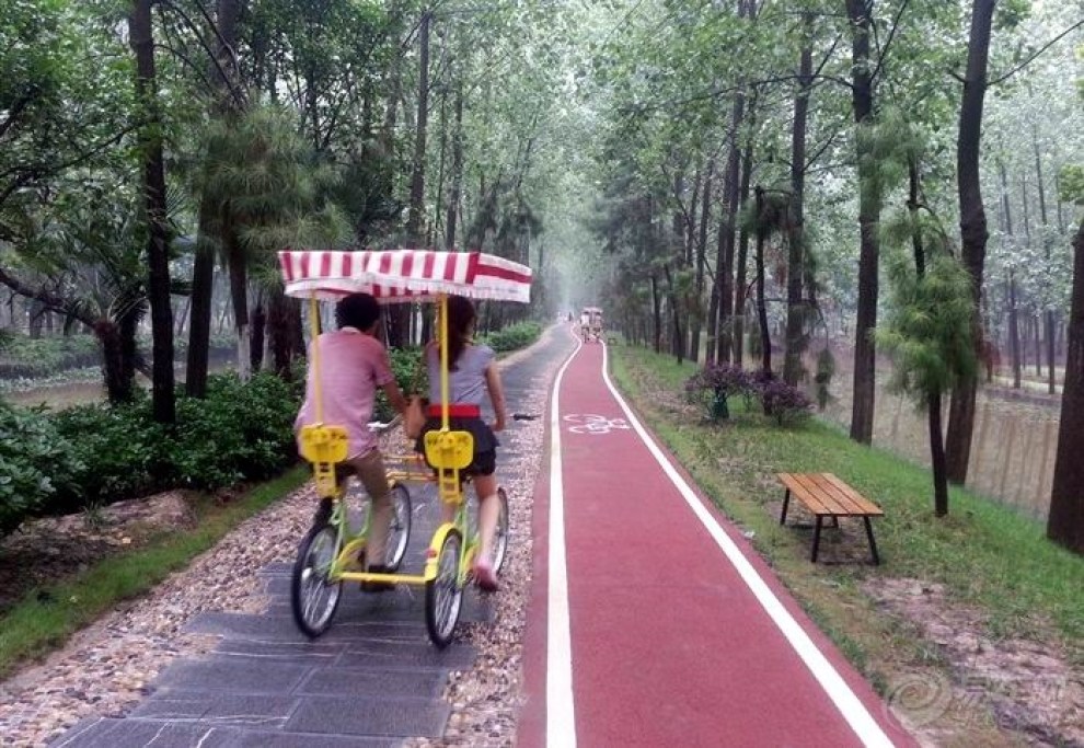 遊合肥濱湖溼地森林公園小記