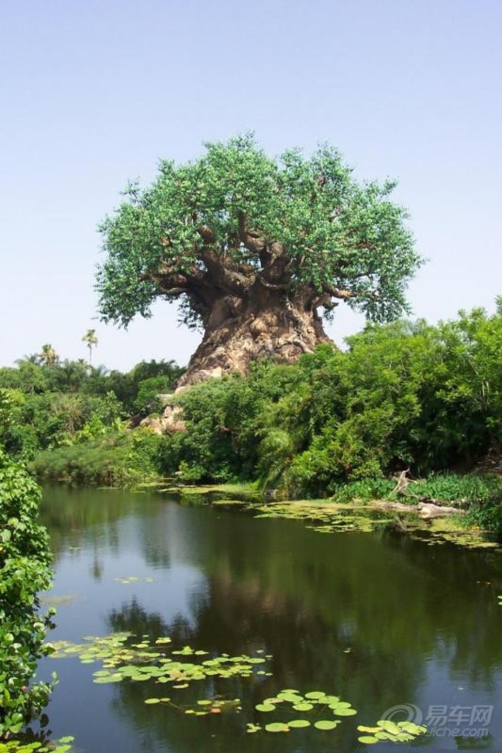 【【原创首发】神树】_陕西论坛图片集锦_汽车论坛-易车网