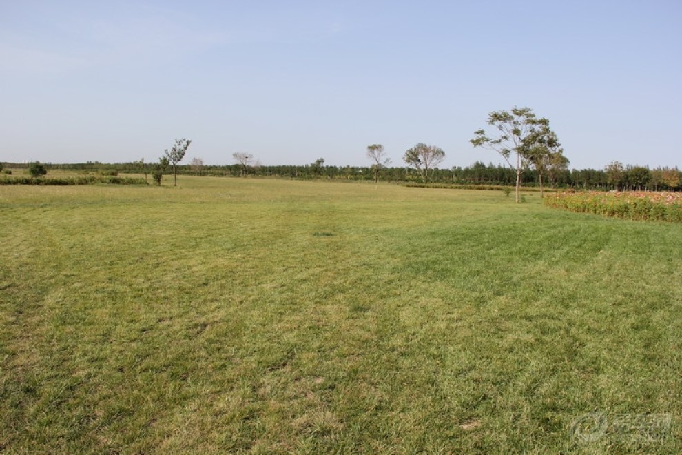 北塘古镇包克图风情园