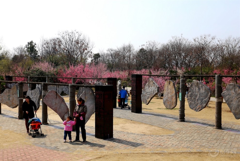 行攝合肥植物園三