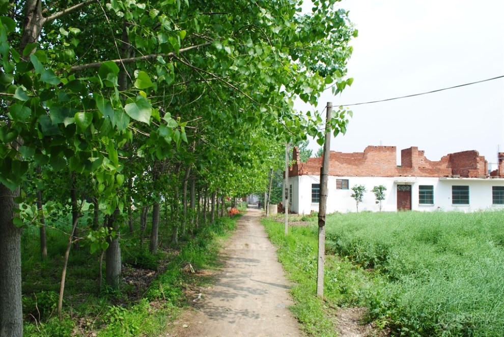 【童村西路边走起寻拍田园绿意转店中路行摄】_安徽