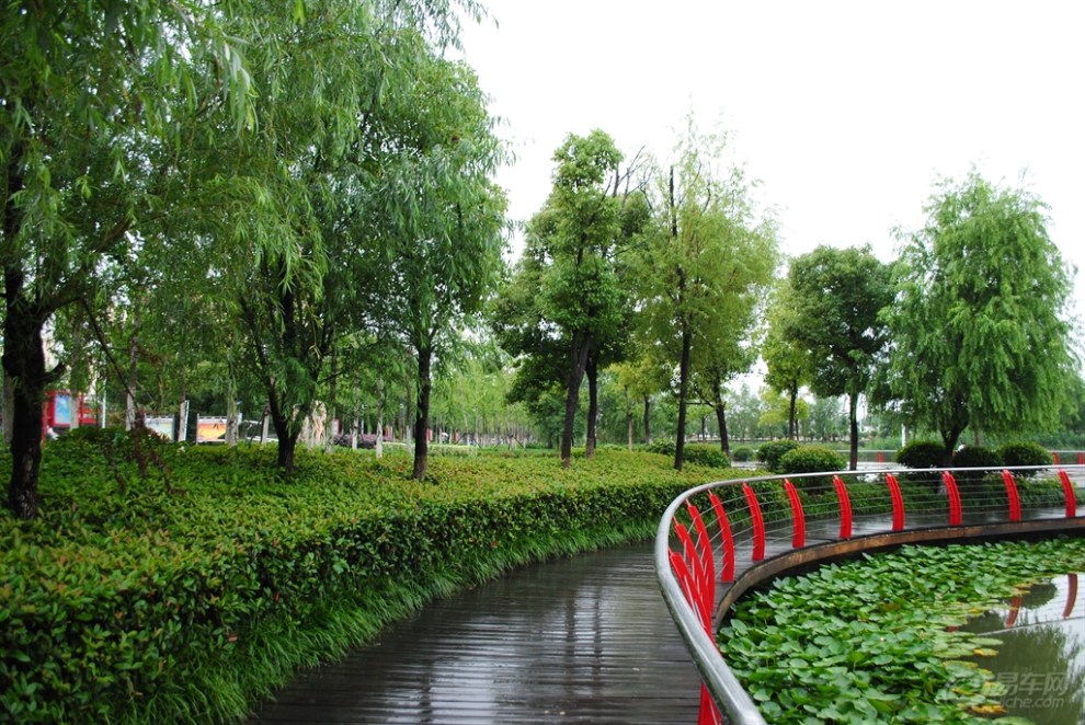 走起东城公园步道找寻梅雨天池塘风云景观