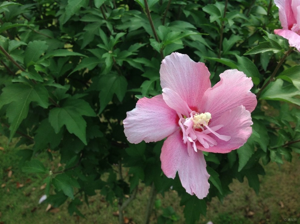 自駕遊之寧波福民公園