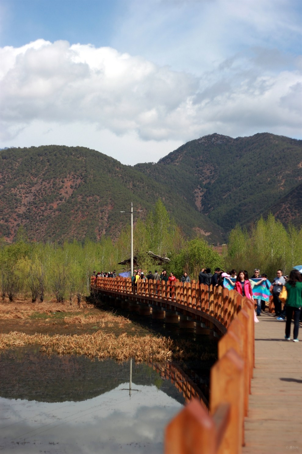 《光明寻路记》泸沽湖草海&走婚桥