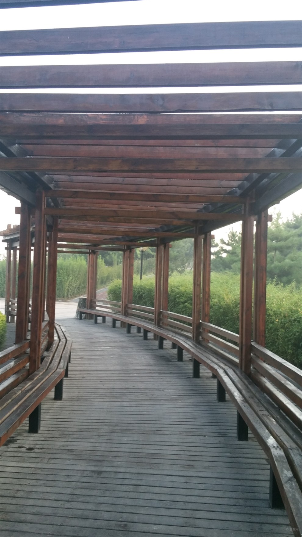 公园的绿色走廊