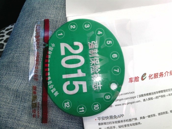 重庆电子保单没有交强险标志 重庆不贴交强险标志