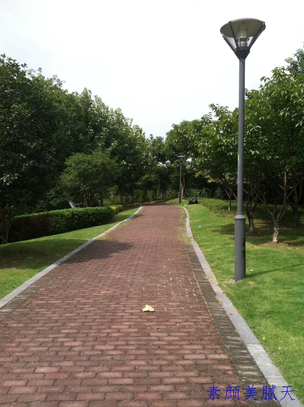 【苏州】 角落里的小公园 .