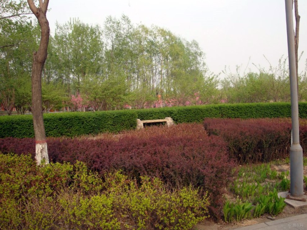 三里河生态走廊