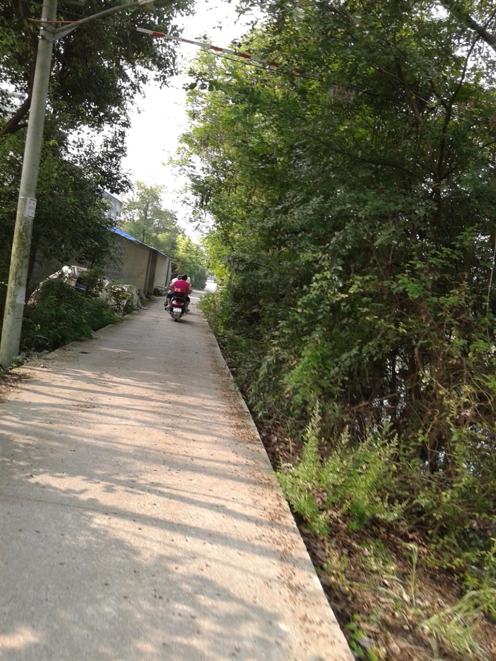 走在乡村道路上随拍