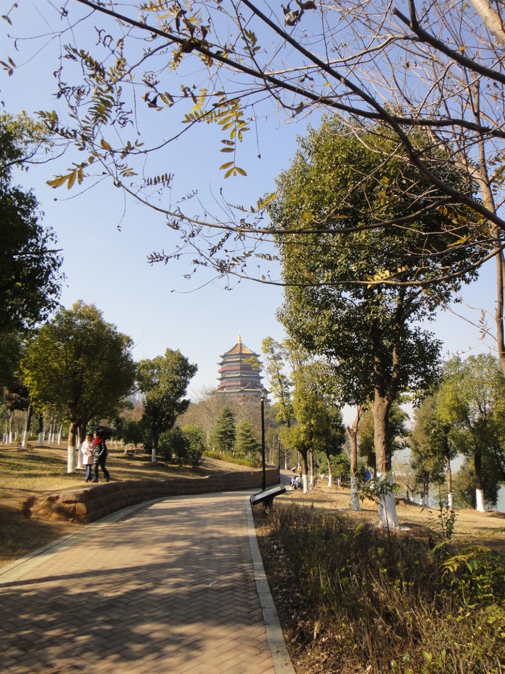 【双蛋逛欢】元旦游鹰潭滨江公园