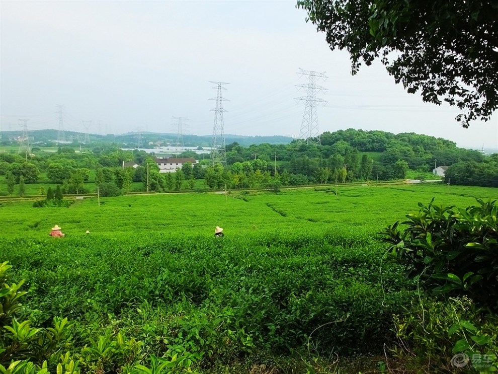 【国庆小长假精品游记】斗山生态园随拍