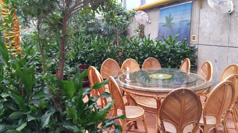 金华阳光绿洲酒店用餐偶记!