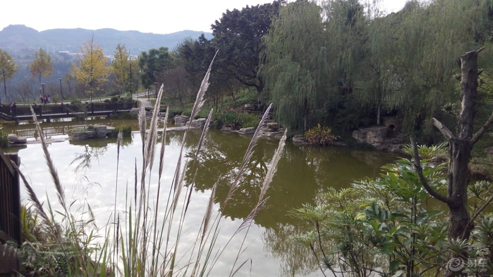 【首發】覽太白巖山頂公園景