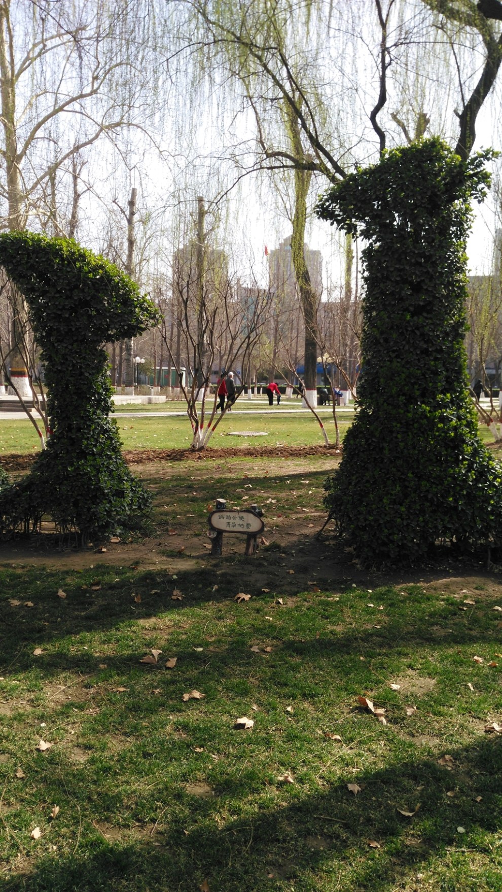 【春來去踏青】一公園裡的造型植物