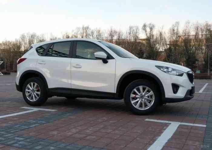 5l车型为25厘米之高不知道大家小时候有没有看过"四驱兄弟"这部动画片