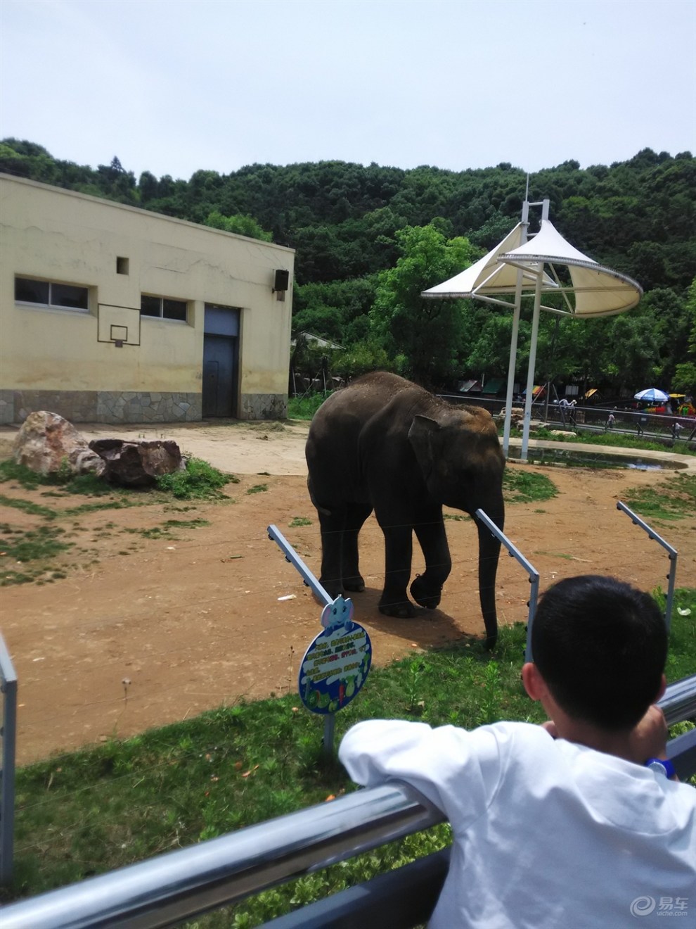 【無錫長安cs35車友會】遲來的認證——無錫動物園一日遊