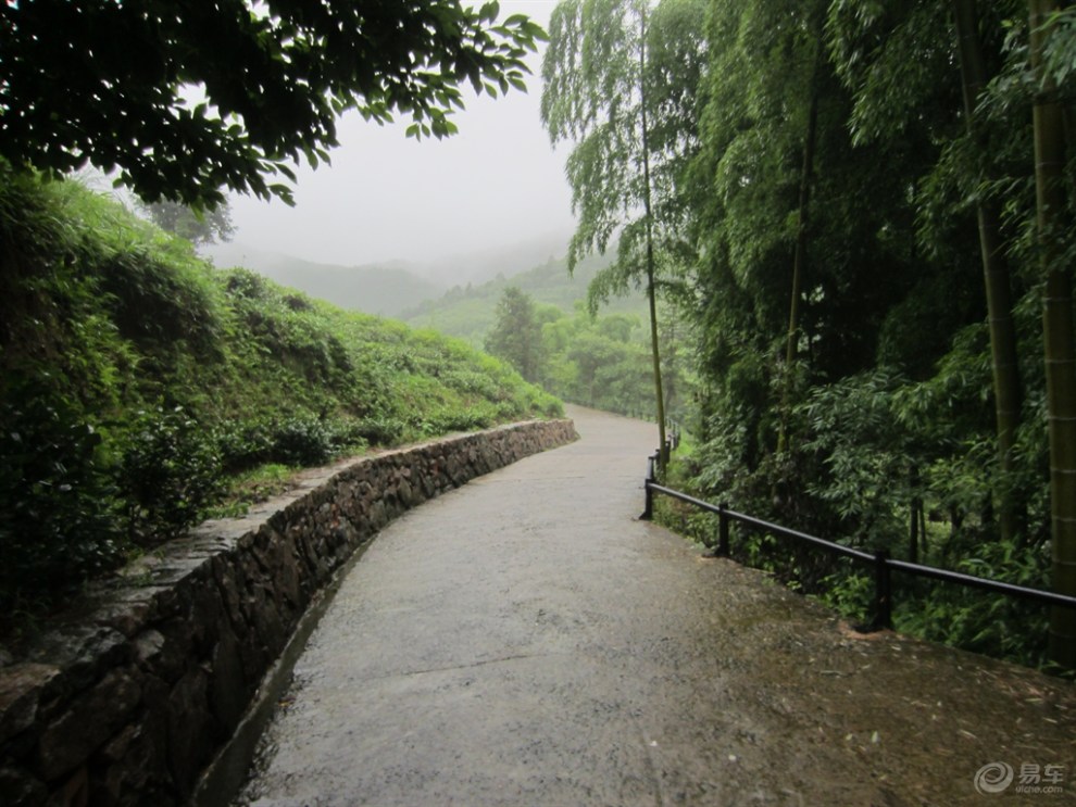 带你欣赏裸心谷的路边风景