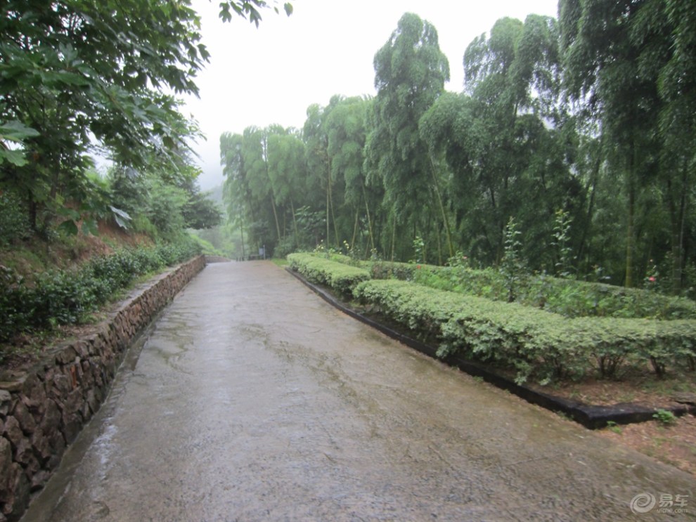 【原创首发】裸心谷路边风景!