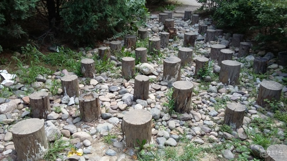 【乐分享之爱你在路上】森林迷宫!