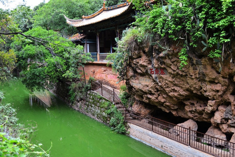 【每周一图】93期 界鱼石