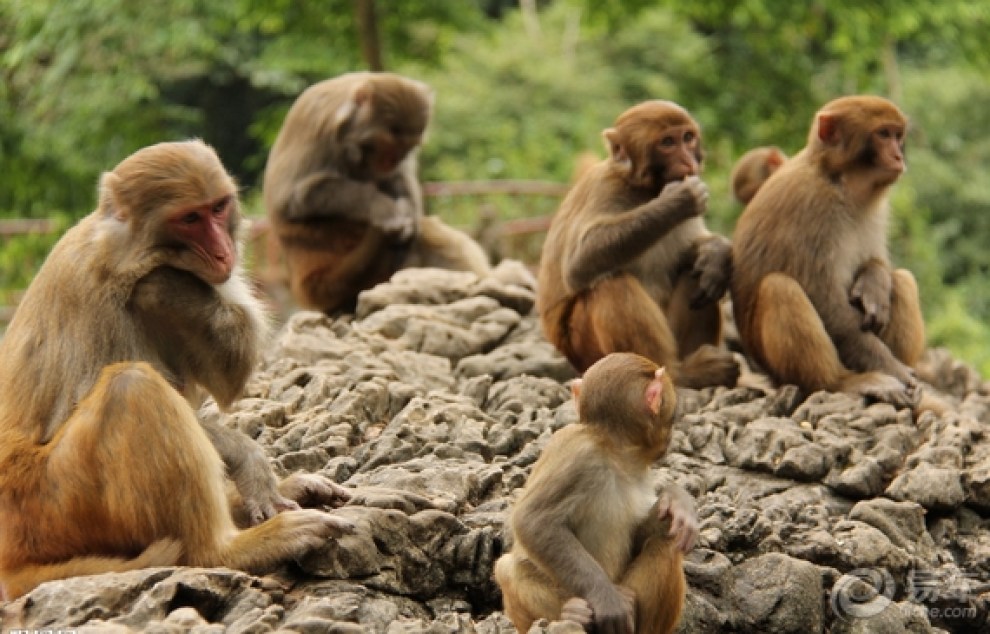 河北论坛热点图集
