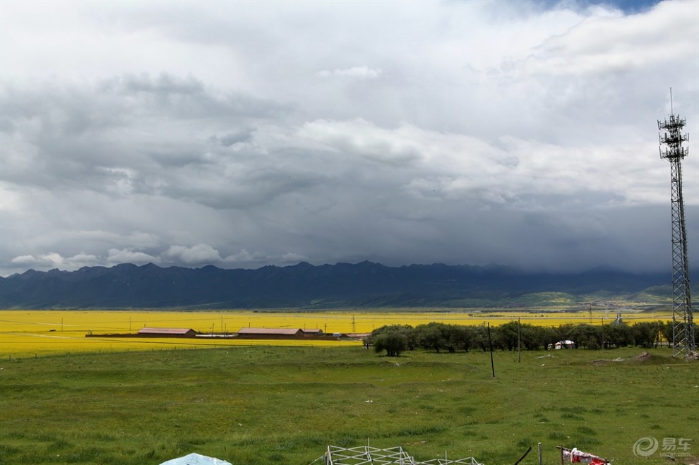 【乐分享之盛夏八月】青海门源浩门农场