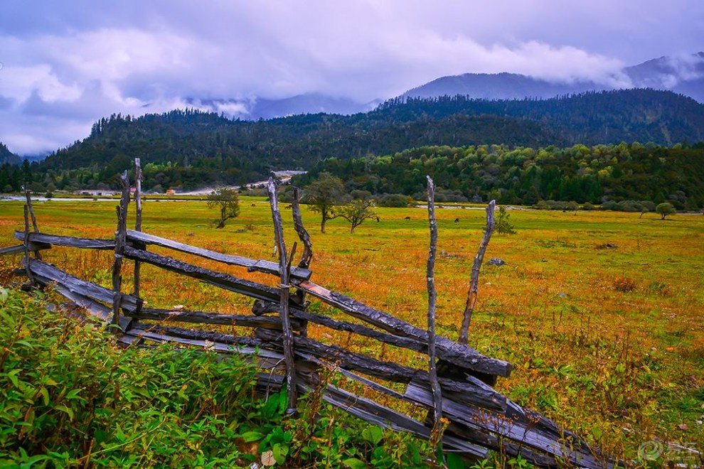 秋景】通麦秋景