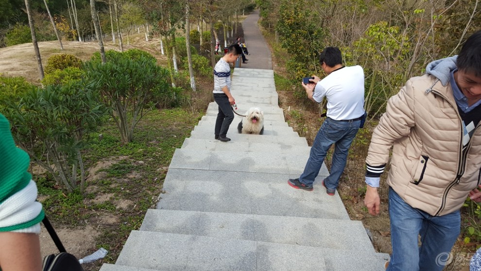 【深圳東部長安車友會】自駕聚龍山公園