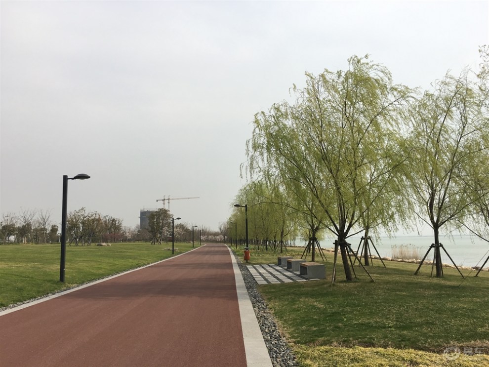 【申牛】苏州湾广场公园美丽春色