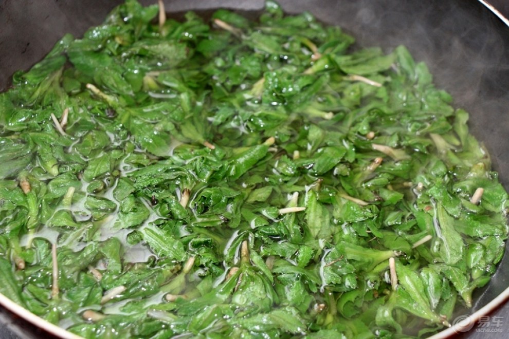 【春季养生】凉拌七七芽