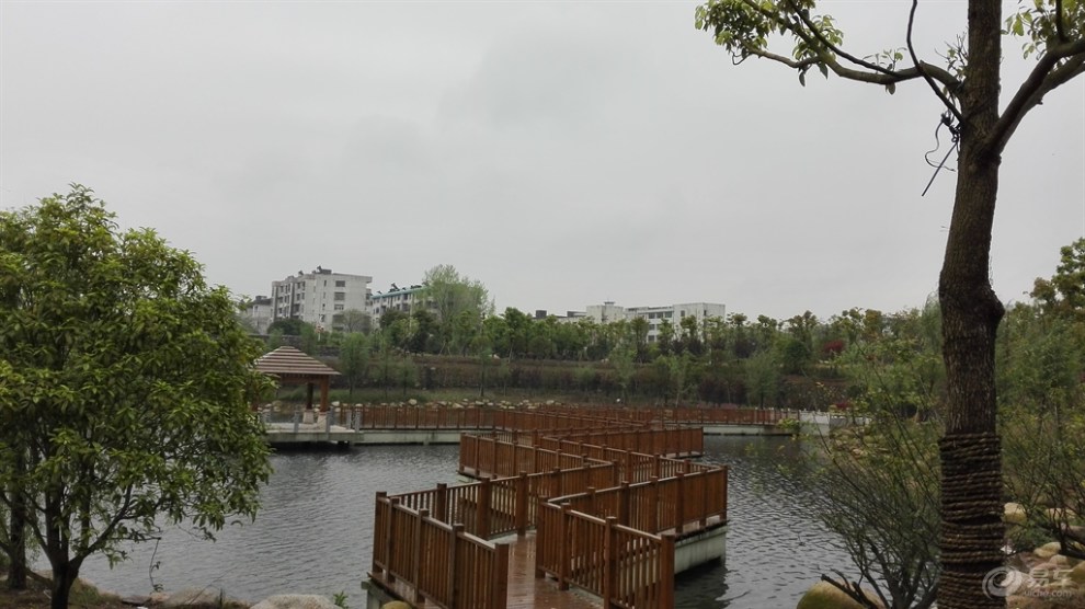 【我最爱车】【鹰潭贵溪游】—梅园公园,阴雨天的漫步