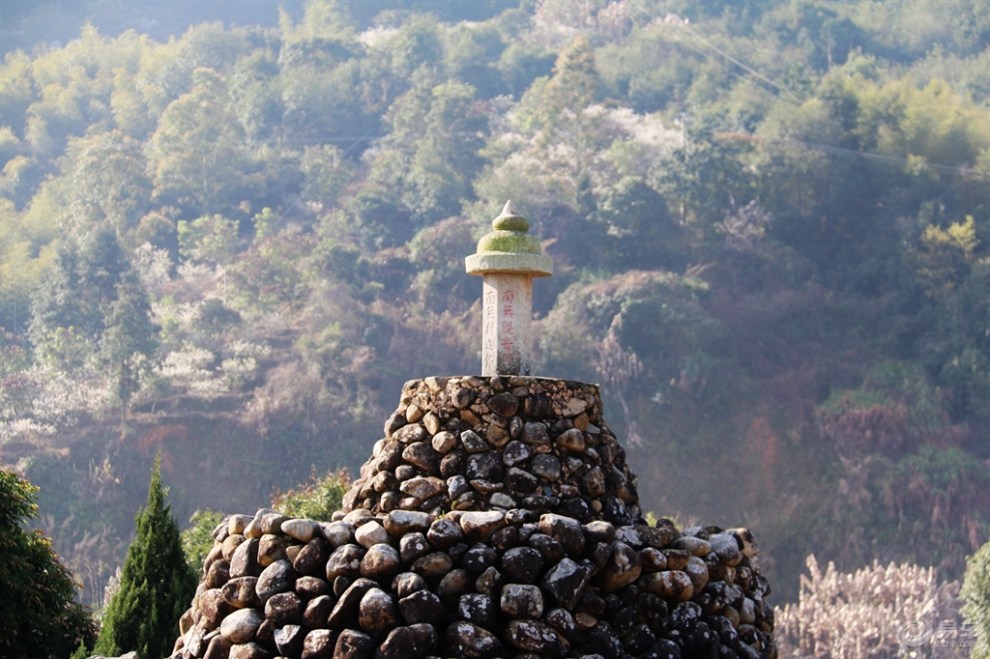 【大地回春】車友結伴遊長泰古山重村