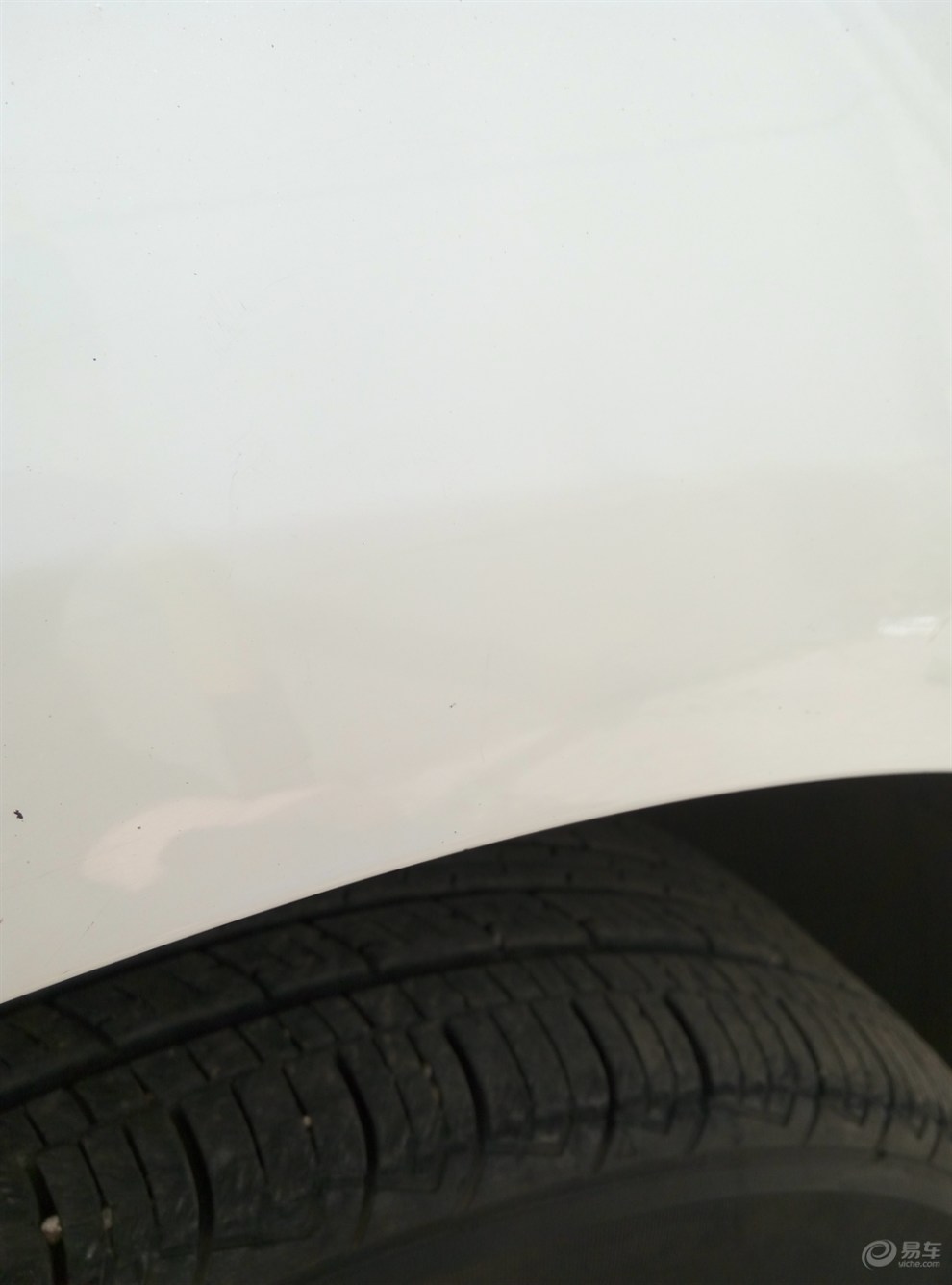 【神韵原创首发】给小狮子洗洗澡