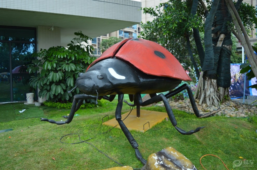 周末带儿子去看昆虫展览
