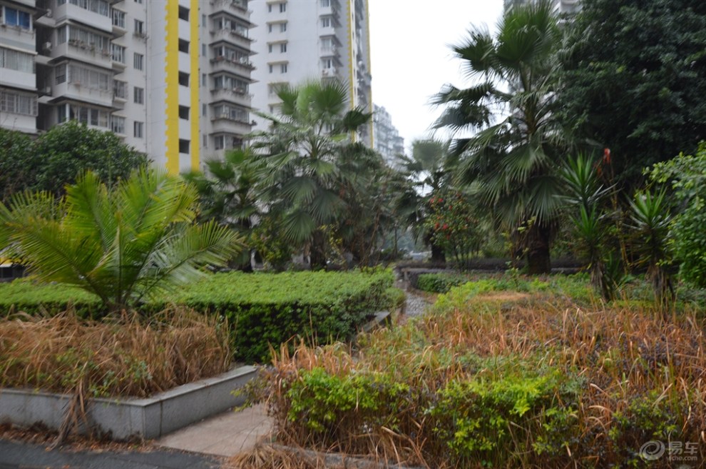 武夷花园的园林景观