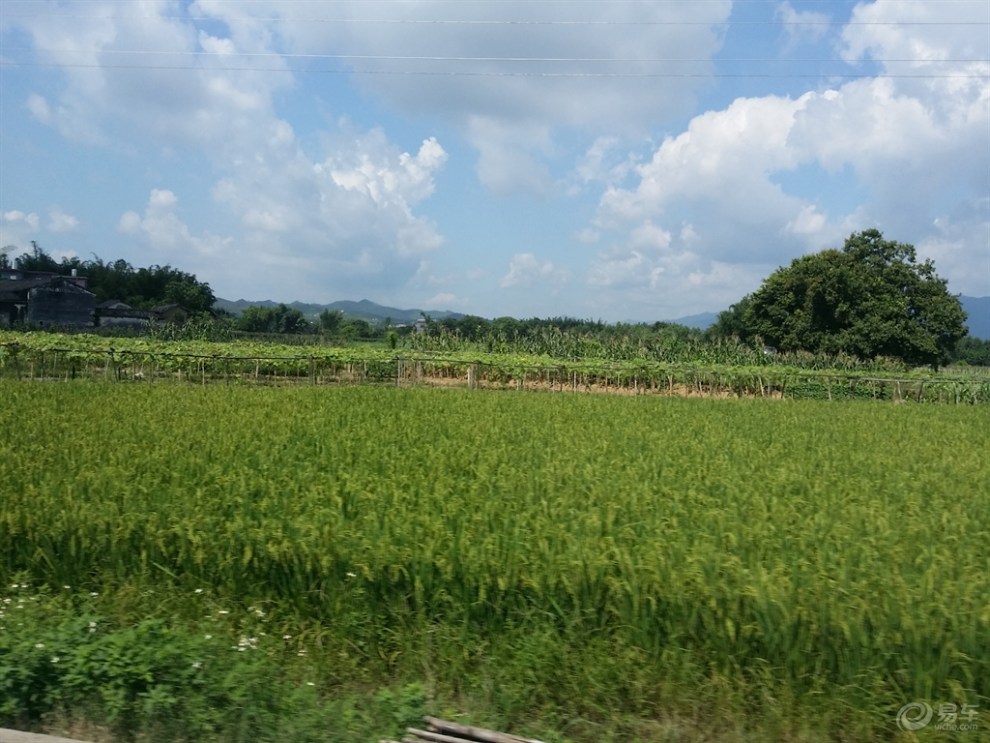 夏天的田野