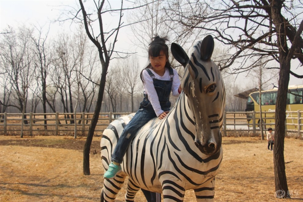 【爱劳动要快乐】宝宝骑"斑马"(游玩)