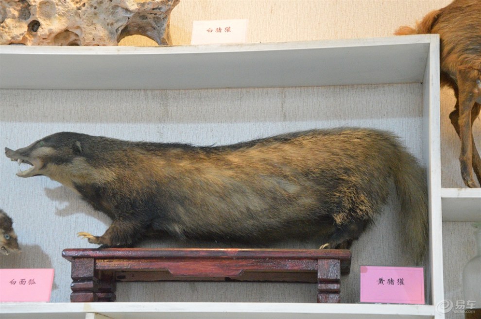 上海cs75官方车友会〕818嘉定小白不菜游西山展览馆(上