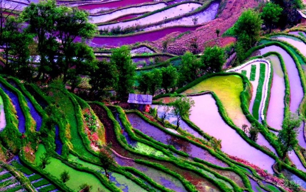 人间奇迹--元阳梯田