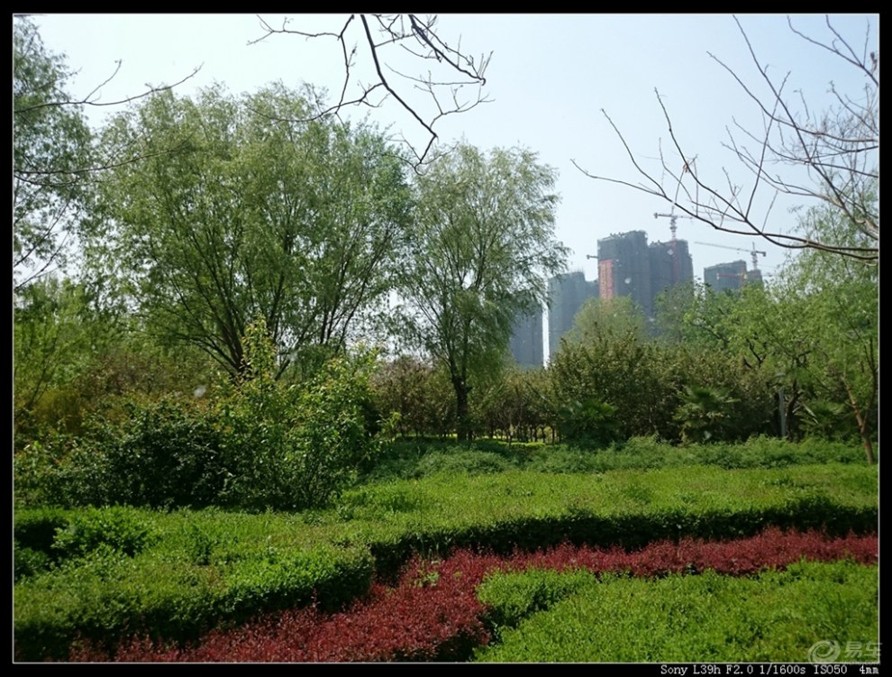 【武的足跡】滎陽植物園