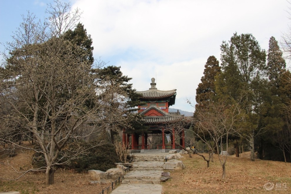 【原创首发】知松园赏松