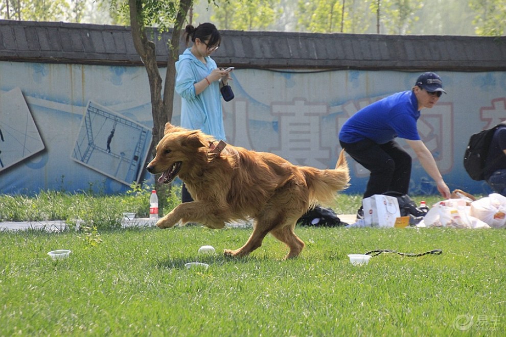 【歡樂萌寵第八季】動物運動會