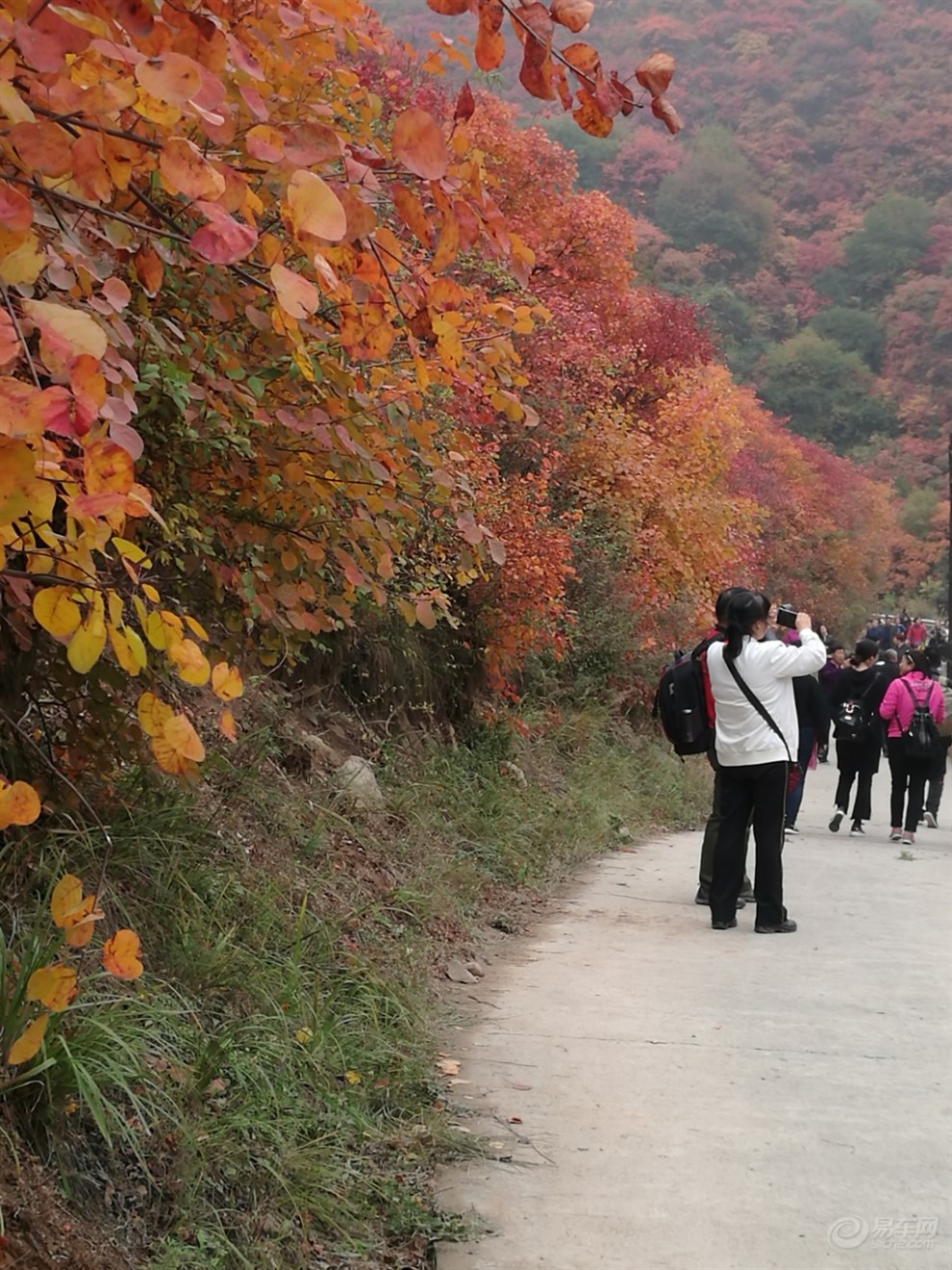 自駕遊山西絳縣紫家峪紅葉