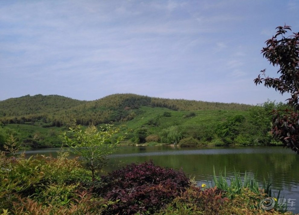 江寧黃龍峴,金陵茶村